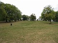 Nancy's had many memories of the winter sledding on this hill.